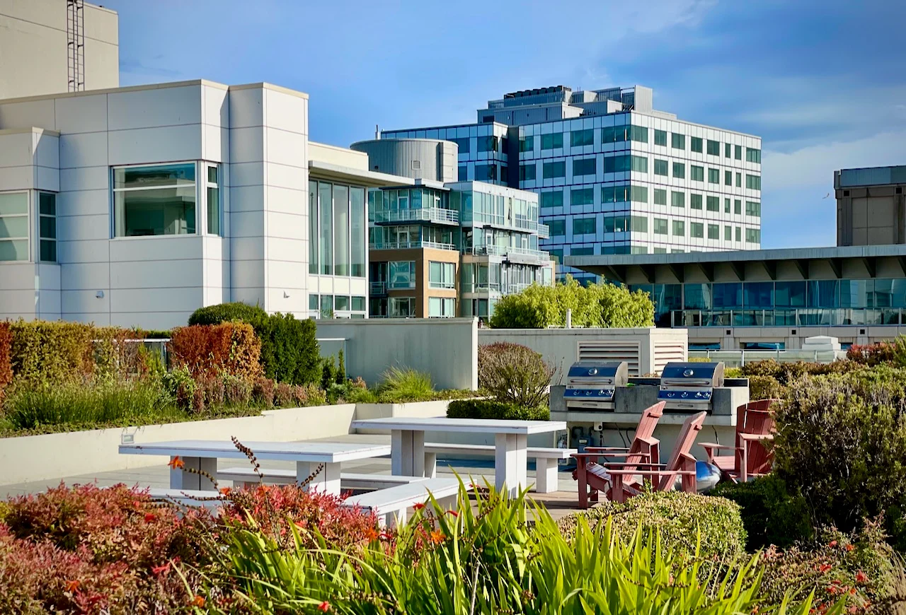 210770 Fisgard12 | Apartments Homes Suites for Rent Victoria BC