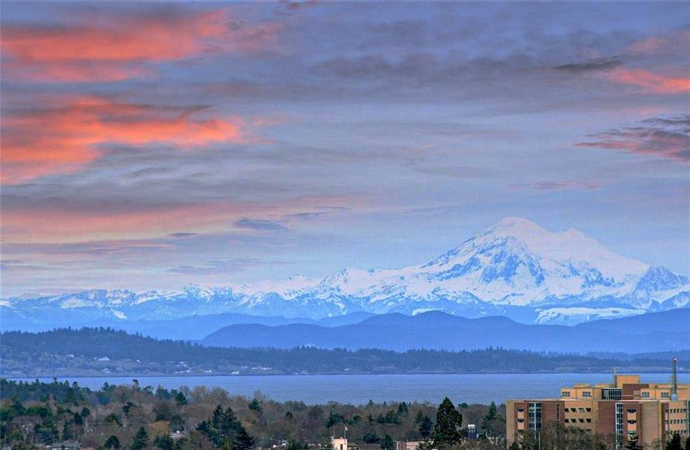 37pe | Apartments Homes Suites for Rent Victoria BC view from rooftop