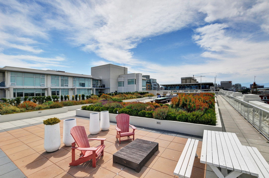 20 | Apartments Homes Suites for Rent Victoria BC