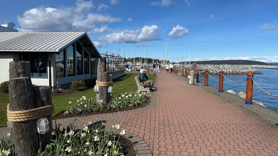 henrysid29 | Apartments Homes Suites for Rent Victoria BC