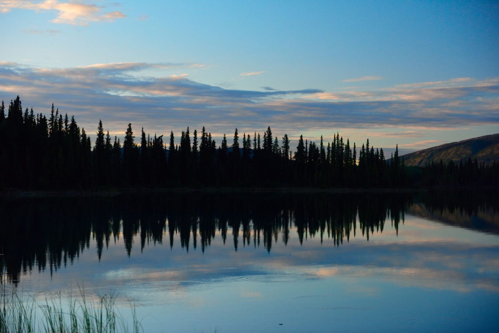 Silhouetted evergreen trees line a calm lake at dusk with their reflection mirrored in the water and a blue cloud filled sky above